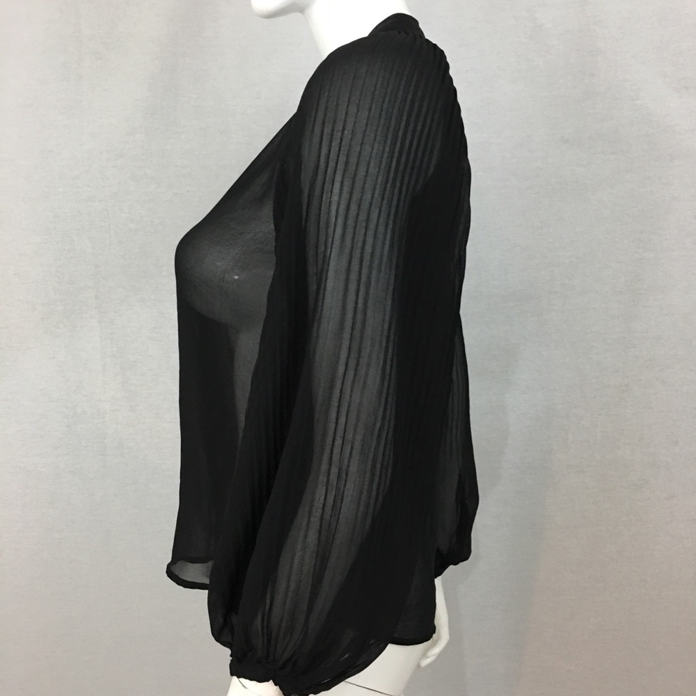 SOLD Sz Small Zara Sheer V-Neck Long Sleeve Blouse - Picture 5 of 8